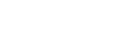 Remington Optics